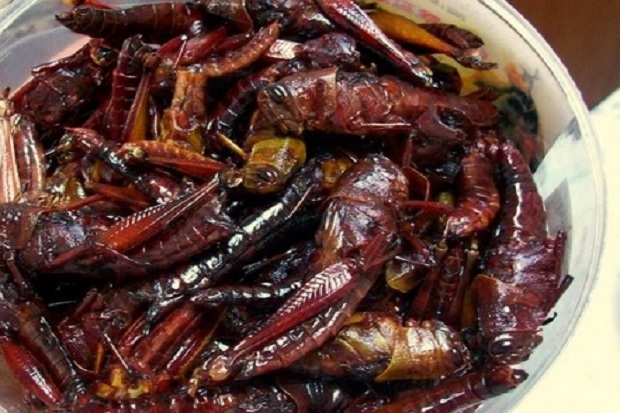 5 Kuliner Khas Gunungkidul, mulai Tiwul hingga Walang Goreng