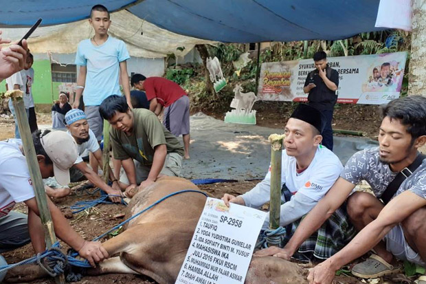 Syukuran Kurban, ACT Bogor Bagikan 300 Kantong Daging Sapi