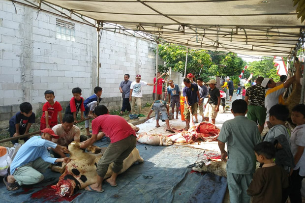 Idul Adha 1440 H, Perumahan BCD Bogor Sembelih 26 Ekor Hewan Kurban