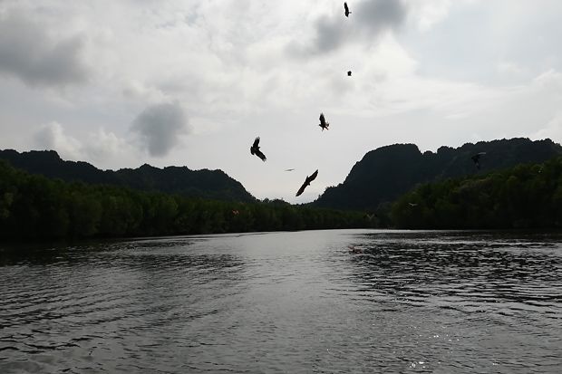 Harmoni Resorts World Langkawi, Jewel of Kedah Nan Eksotis