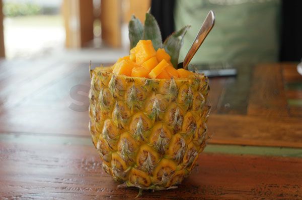 Cabana Surf and Stay, Surf Camp Termewah di Krui