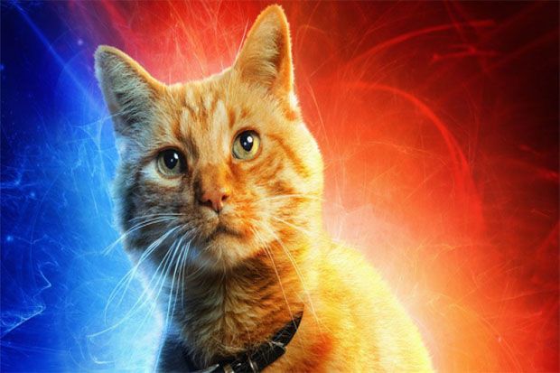 Yuk, Kenalan dengan Cerita dan Karakter di Film Captain Marvel!