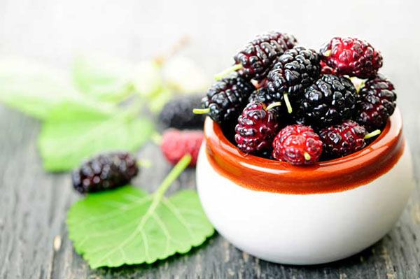Hati-Hati, 4 Makanan Ini Bisa Menyebabkan Halusinasi