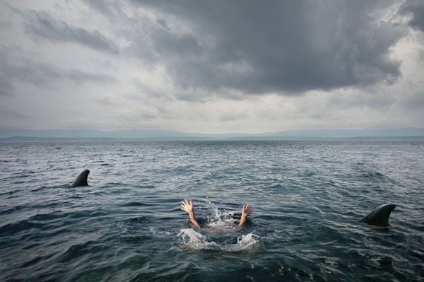 10 Film Teror Hiu Terbaik dari Era Jaws hingga Kini