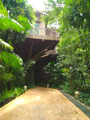 Menikmati Alam Bawah Laut di Kamar Suites Resorts World Sentosa