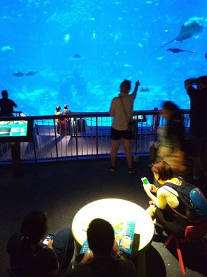 Menikmati Alam Bawah Laut di Kamar Suites Resorts World Sentosa
