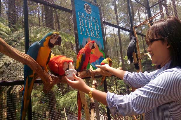 7 Wisata Alam Paling Eksotis di Kabupaten Bandung Barat