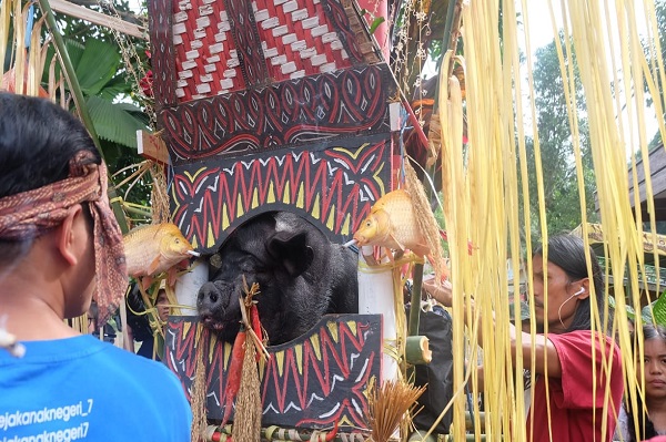 Menyusuri Eksotisme Toraja dari Upacara Rambu Tuka dan Kuburan Tebing Ke'Te Kesu