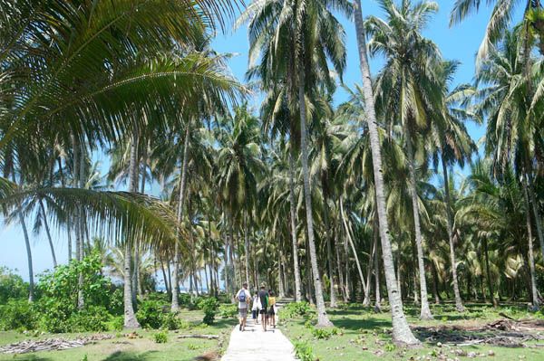 Surga Tersembunyi di Pulau Pisang
