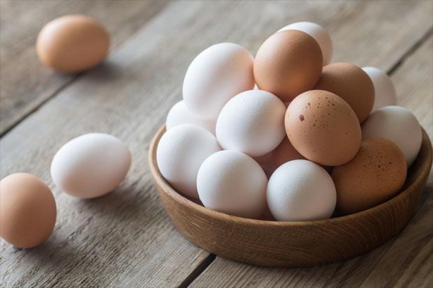 Kiat Menyimpan Makanan Agar Tetap Segar dan Bisa Dikonsumsi