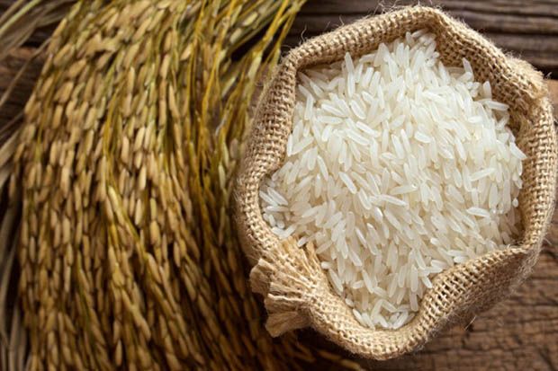 Kiat Menyimpan Makanan Agar Tetap Segar dan Bisa Dikonsumsi