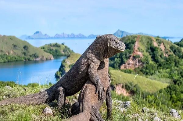 Ini Dia 10 Taman Nasional Terbaik di Seluruh Dunia