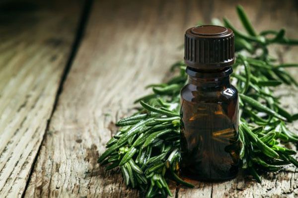 Tea Tree Oil Tea Tree Oil