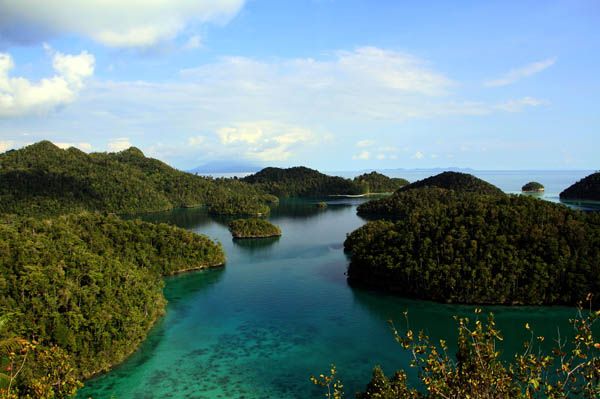 Surga Kecil yang Turun ke Bumi itu Bernama Pulau Wayag