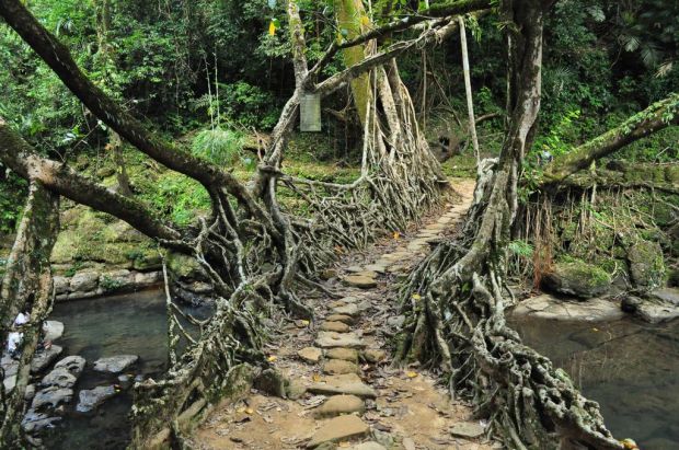 Deretan Jembatan Menakjubkan di Dunia