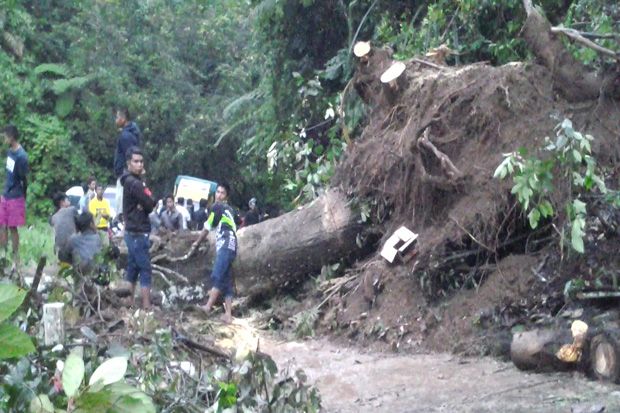 Longsor di Jalinsum Sumbar, Antrean Panjang Capai Puluhan Kilometer