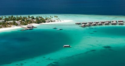 6 Spot Diving Terbaik di Dunia, Kamu Harus Mencobanya