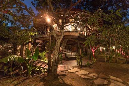 Ingin Menyatu dengan Alam, Coba Tidur di Rumah Pohon Ini