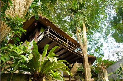 Ingin Menyatu dengan Alam, Coba Tidur di Rumah Pohon Ini