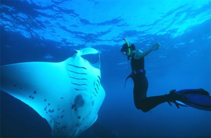 15 Tempat Liburan Ekstrem Pemacu Adrenalin