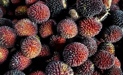Buah Asli Indonesia Ini Nyaris Punah, Apa Saja?
