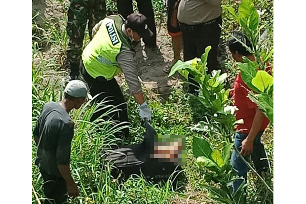 Lagi Cari Rumput, Warga Temukan Koper Berisi Mayat di Bawah Jembatan