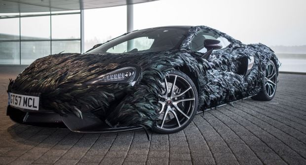 Berbulu, Mobil Ini Sangat Cocok untuk Kicau Mania
