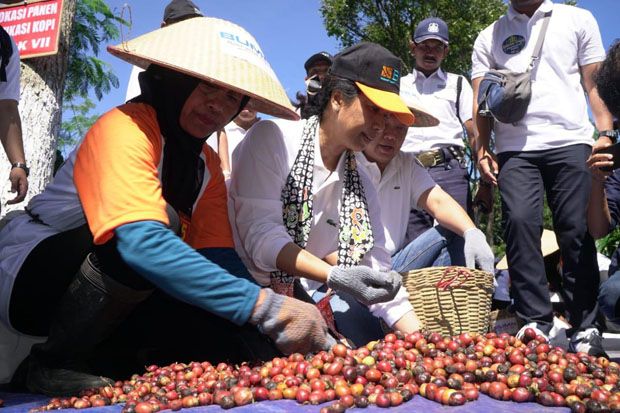 Sambangi Jember, Menteri Rini Dorong Peningkatan Kesejahteraan Petani Kopi