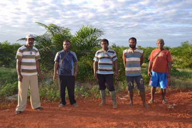 Oil Palm Plantations in Merauke has been Evaluated