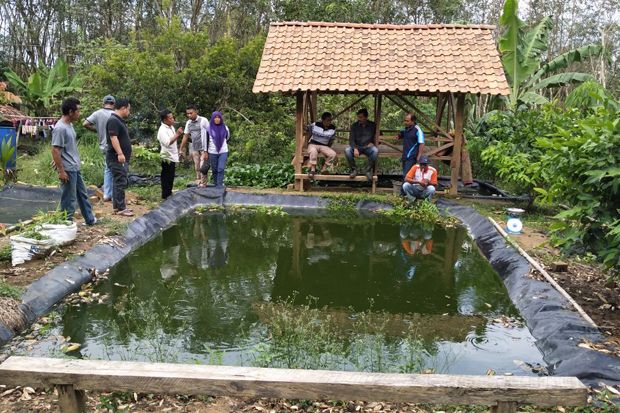 Kabupaten Mesuji Siap Tatap Masa Depan Lebih Cerah