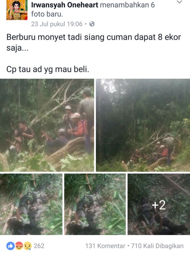 Unggah Foto Perburuan Monyet di FB, Pria Ini Dicari BKSDA