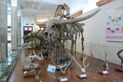 Liburan, Kunjungi 10 Wisata Museum Terpopuler di Indonesia Ini