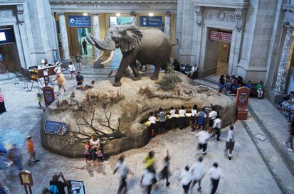Daftar Museum Dunia Paling Banyak Dikunjungi Wisatawan