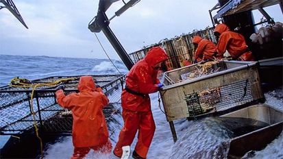 10 Pekerjaan Paling Berbahaya di Dunia
