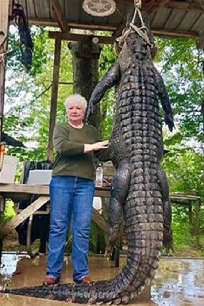 Nenek Ini Habisi Buaya 3,6 Meter karena Memangsa Kudanya