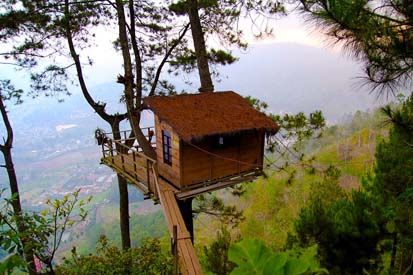 Ingin Menyatu dengan Alam, Coba Tidur di Rumah Pohon Ini