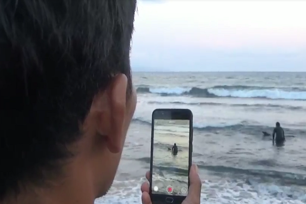 Paus Pilot Terdampar di Pantai Biauang Denpasar Bali