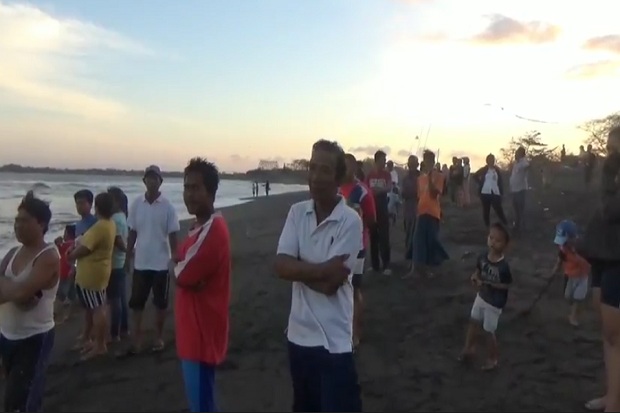 Paus Pilot Terdampar di Pantai Biauang Denpasar Bali