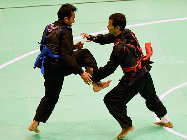 Asian Games 2018 Pertandingkan 10 Cabang Olahraga Baru