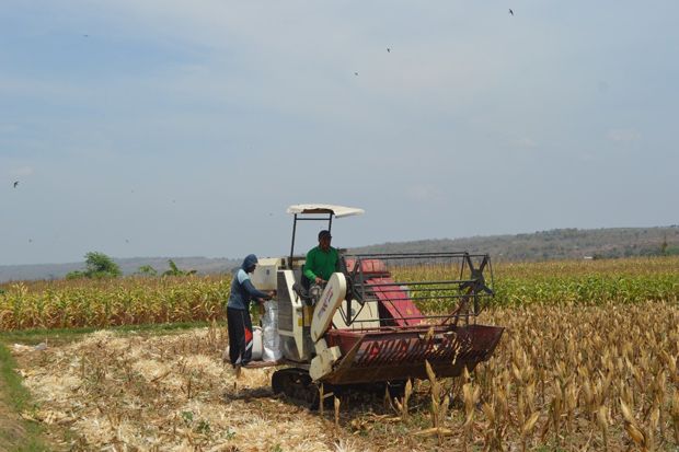 Kementan Serap Aspirasi, Produksi dan Pendapatan Petani Meningkat