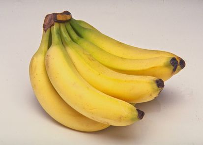 Daftar Varietas Pisang Terbaik Indonesia