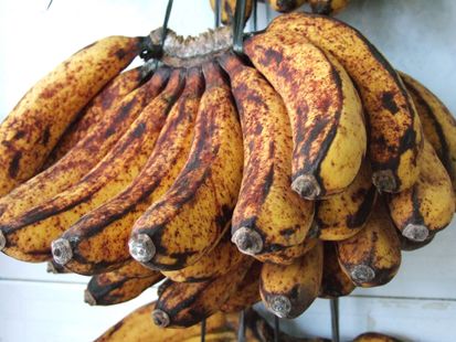 Daftar Varietas Pisang Terbaik Indonesia