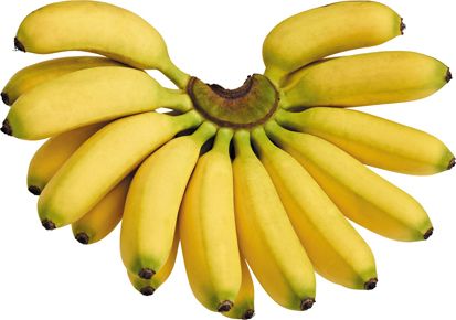 Daftar Varietas Pisang Terbaik Indonesia