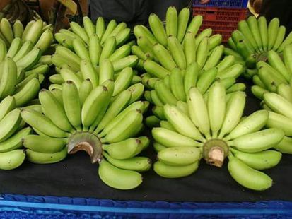 Daftar Varietas Pisang Terbaik Indonesia