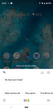 Kebocoran Pixel 3 Beberkan Tampilan Baru Kamera dan Asisten Google