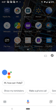 Kebocoran Pixel 3 Beberkan Tampilan Baru Kamera dan Asisten Google