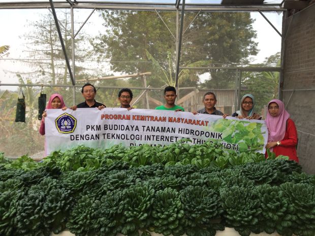 Polines Pakai IoT untuk Alat Memantau Tanaman Hidroponik