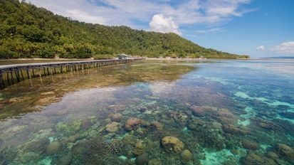Pulau-Pulau Terbesar di Dunia