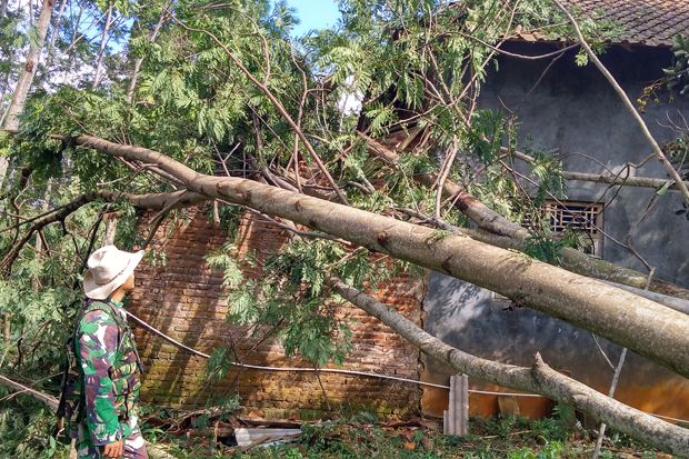 Puting Beliung Melanda Pekalongan, 28 Rumah Rusak