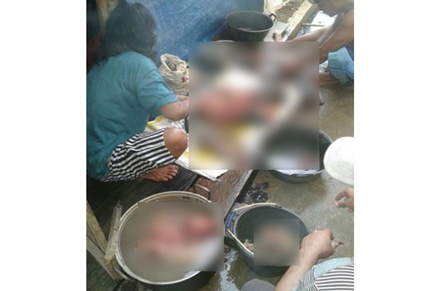 Makan Daging Orangutan 10 Warga Dibekuk Polisi